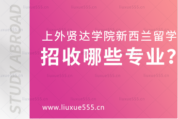 上海外国语大学贤达经济人文学院新西兰国际本科项目招收什么专业？