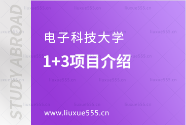电子科技大学1+3项目介绍