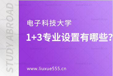 电子科技大学1+3专业设置有哪些？