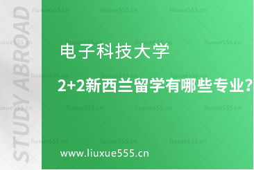 电子科技大学2+2新西兰留学有哪些专业？
