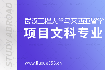 武汉工程大学马来西亚2+2国际本科项目有哪些适合文科生的专业？