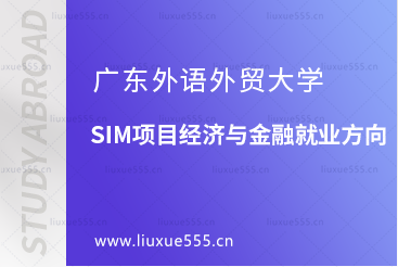 广东外语外贸大学SIM项目经济与金融就业方向