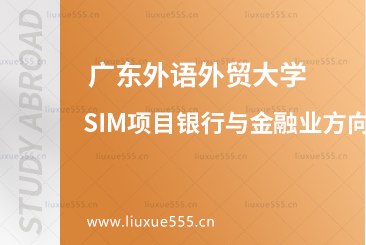 广东外语外贸大学SIM项目商业与管理就业方向