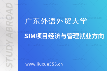 广东外语外贸大学SIM项目经济与管理就业方向