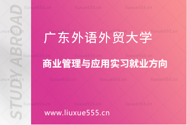 广东外语外贸大学新加坡SIM校区商业管理与应用实习就业方向