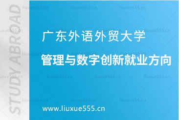 广东外语外贸大学新加坡SIM校区管理与数字创新就业方向