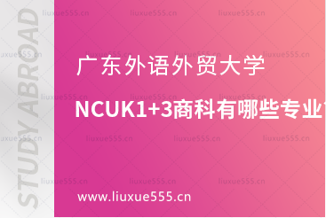 广东外语外贸大学NCUK1+3商科有哪些专业？