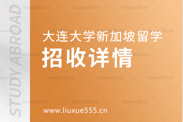 大连大学新加坡国际本科项目招收详情