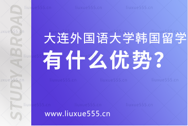 大连外国语大学韩国国际本科项目有什么优势？