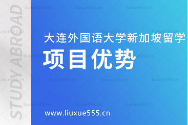 大连外国语大学新加坡国际本科项目优势