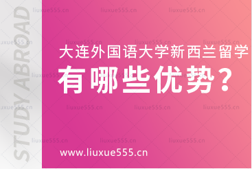 大连外国语大学新西兰国际本科项目有哪些优势？