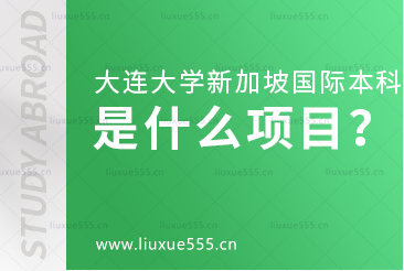 大连大学新加坡国际本科是什么项目？