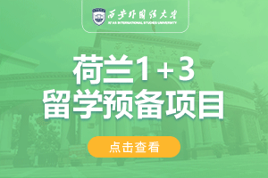 2024西安外国语大学荷兰1+3留学项目招生简章