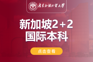 2024广东外语外贸大学SIM新加坡2+2国际本科项目招生简章