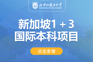 2024北京外国语大学1+3新加坡国际预科项目