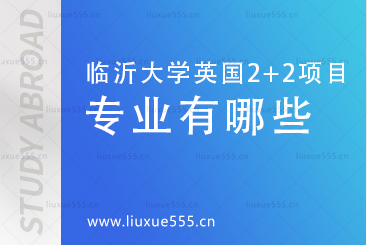 临沂大学英国2+2国际本科项目开设专业有哪些？