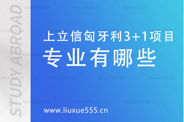 上海立信会计金融学院匈牙利SQA3+1国际本科项目开设专业有哪些？