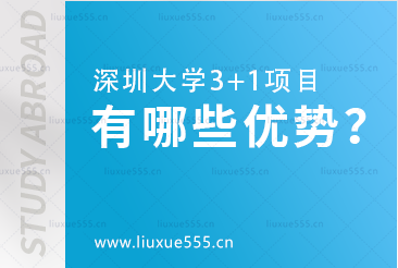 深圳大学3+1项目有什么独特优势？