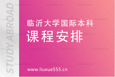  临沂大学国际本科项目的课程安排是什么?