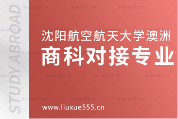 沈阳航空航天大学澳洲1+3国际本科项目商科类专业有哪些？