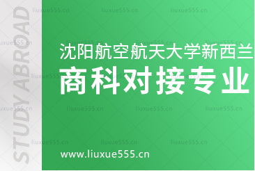沈阳航空航天大学新西兰1+3国际本科项目商科类对接专业