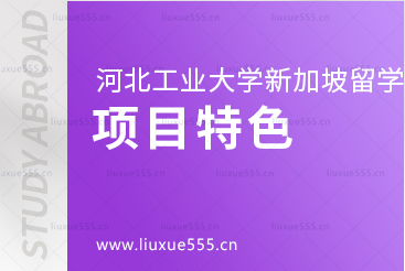 河北工业大学1/2+2新加坡国际本科项目特色是什么