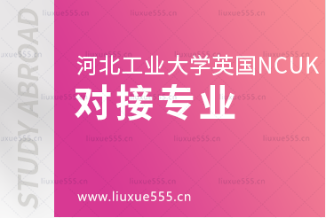 河北工业大学英国NCUK国际本科项目专业有哪些？