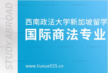 西南政法大学新加坡2+2项目--国际商法专业