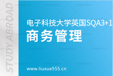 电子科技大学英国SQA3+1国际本科项目对接专业-商务管理