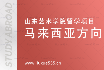 2024山东艺术学院马来西亚2+2国际本科项目合作院校