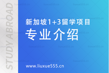 上海外国语大学新加坡1+3留学项目专业介绍