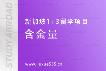 上海外国语大学新加坡1+3留学项目含金量