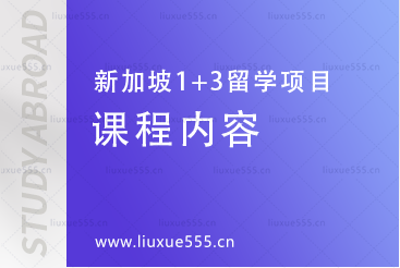 上海外国语大学新加坡1+3留学项目课程内容