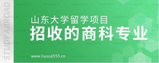 山东大学留学项目招收的商科专业.png