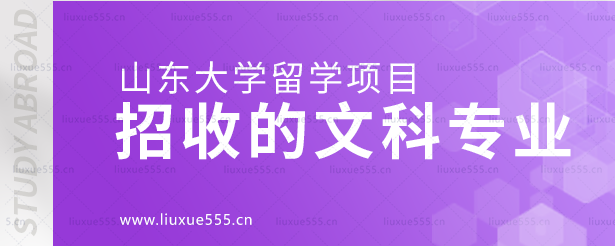 山东大学留学项目招收的文科专业.png