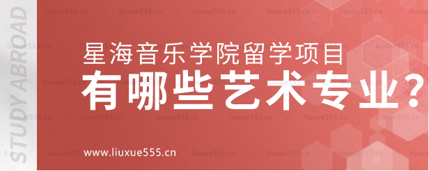 星海音乐学院留学项目有哪些艺术专业？.png