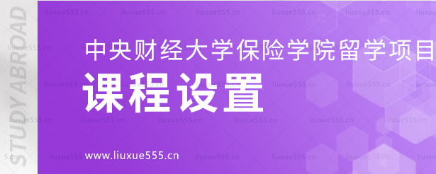 中央财经大学保险学院留学项目的课程设置.png