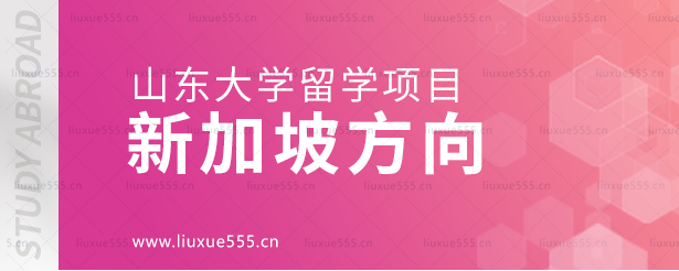 山东大学留学项目新加坡方向.png