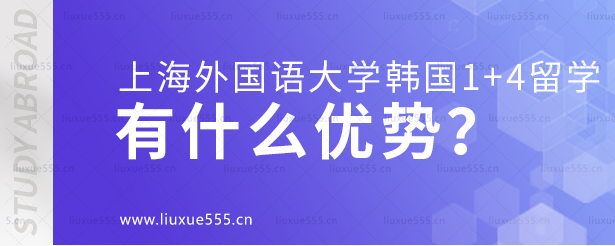 上海外国语大学韩国1+4留学项目有什么优势？.png
