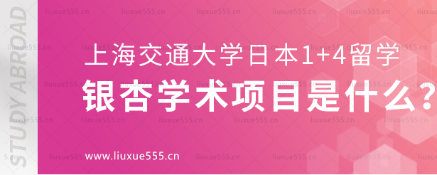 上海交通大学日本1+4国际本科银杏学术项目是什么？.png
