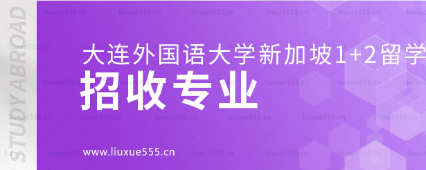 大连外国语大学新加坡1+2国际本科项目招收专业.png