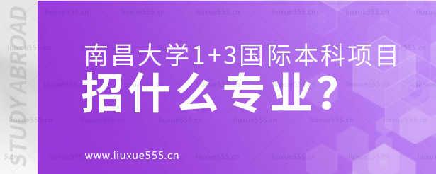 南昌大学1+3国际本科项目招什么专业？.png